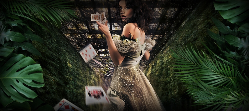 Карточные игры в казино Ельдорадо