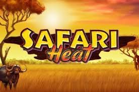 Игровой автомат Safari Heat играть онлайн в казино Эльдорадо