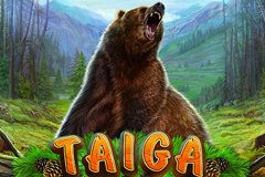 Игровой автомат Taiga играть онлайн в казино Эльдорадо